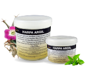 Harpa argile