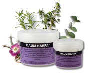 Baum harpa